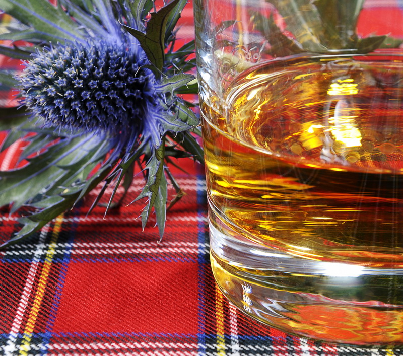 Malbers Fabrics Burns Night Blog