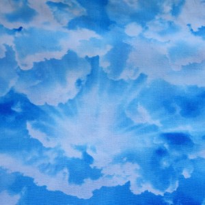 malbers-fabrics-100-cotton-print-tt10014